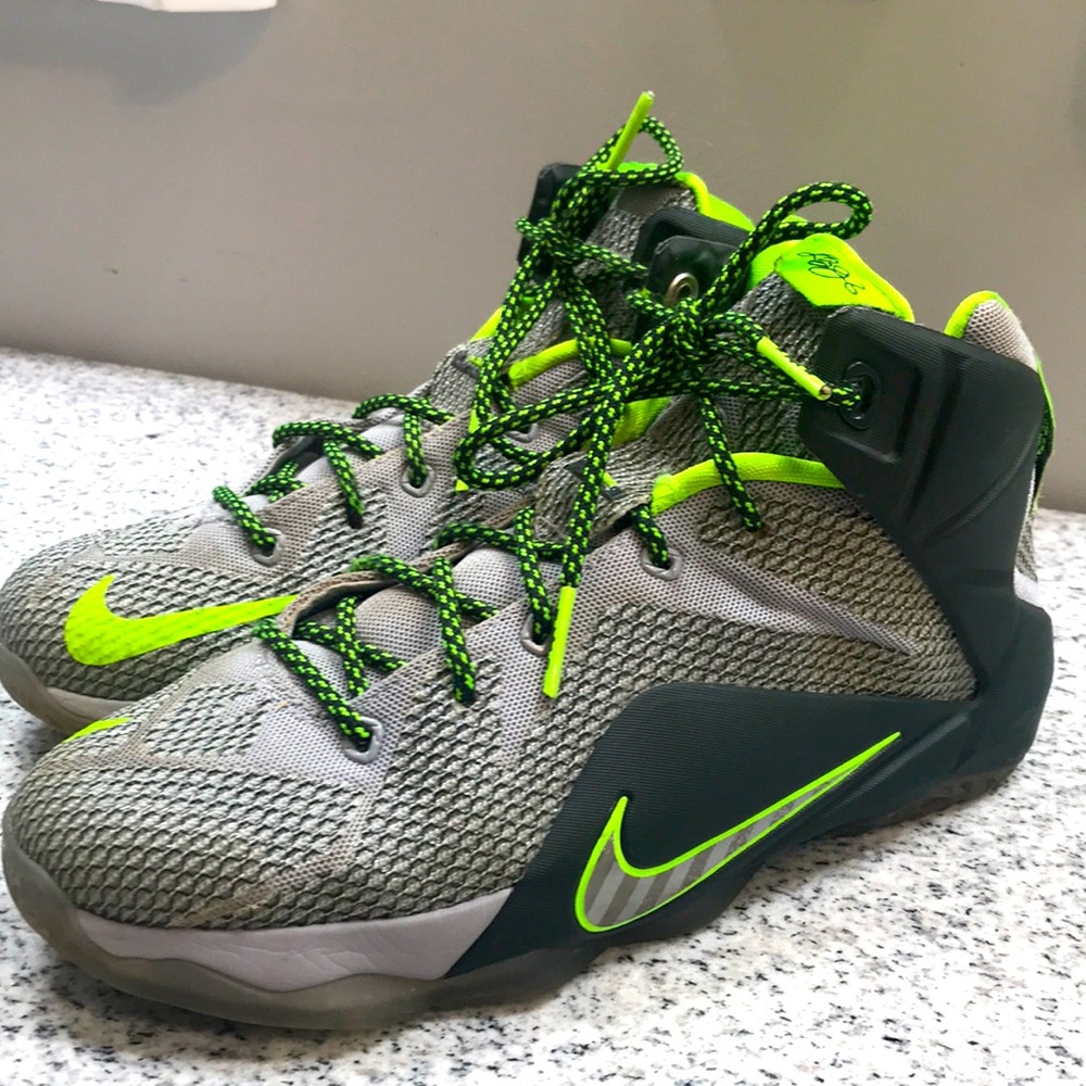 Nike Lebrun X11 Grey Wolf Dunk Force Dunkman